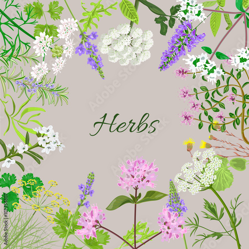 Vector card with herbal flowers.