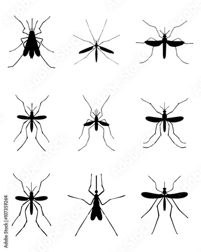 Black silhouettes of different mosquito, vector