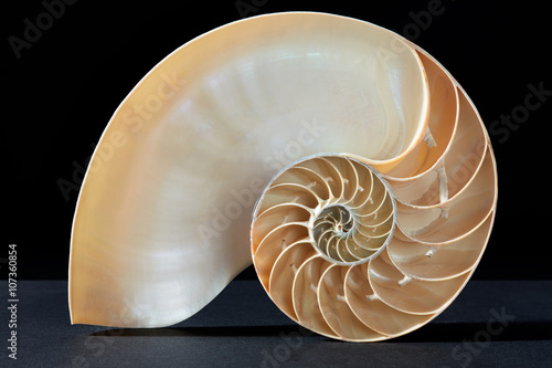 Nautilus shell, perfect golden section on black, clipping path
