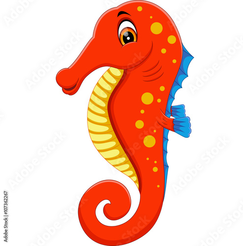 illustration of Cute seahorse cartoon
