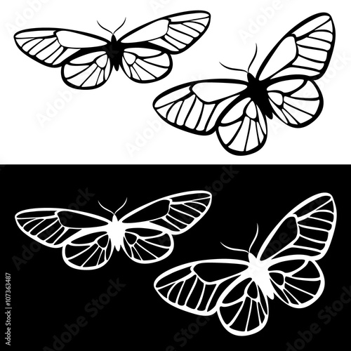 Butterfly icon set © virulaine