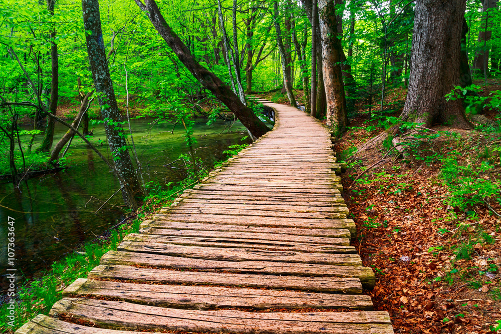 Obraz premium Boardwalk in the park Plitvice lakes