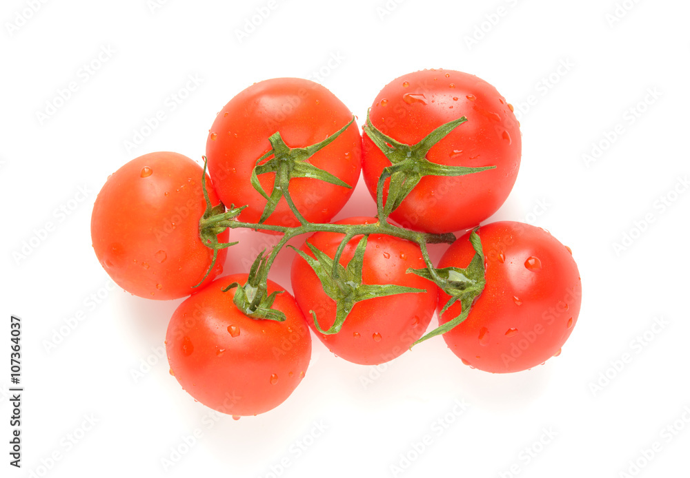 branch of ripe tomatoes on a white background branch of ripe tomatoes on a white background