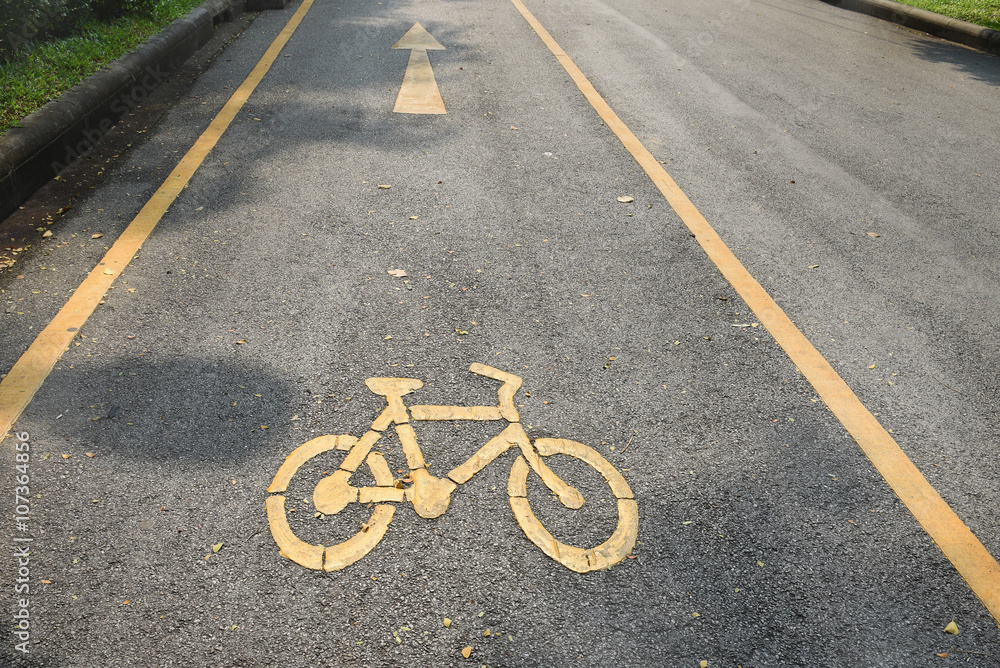 Fototapeta premium Bike lane on the side of road in the park