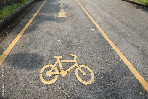 Bike lane on the side of road in the park