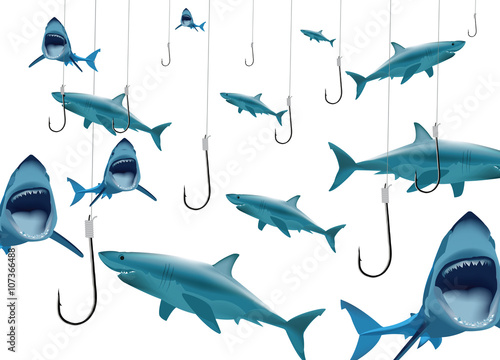 ami da pesca e squali