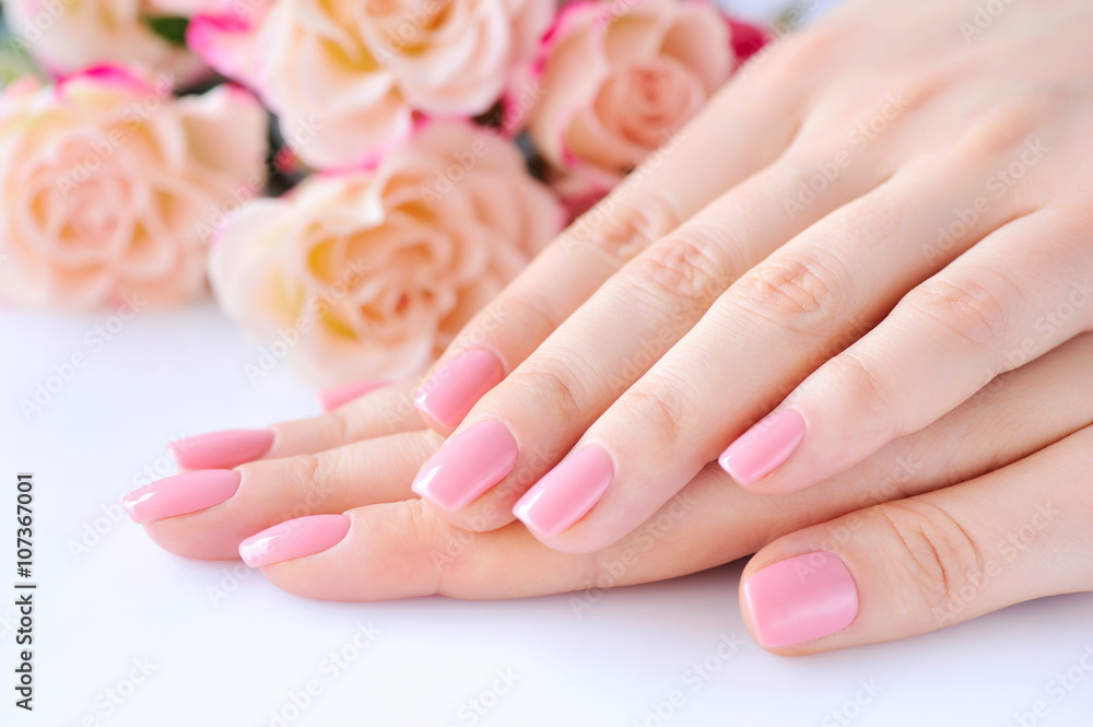 Hands of a woman with pink manicure on nails and roses Hands of a woman with pink manicure on nails and roses