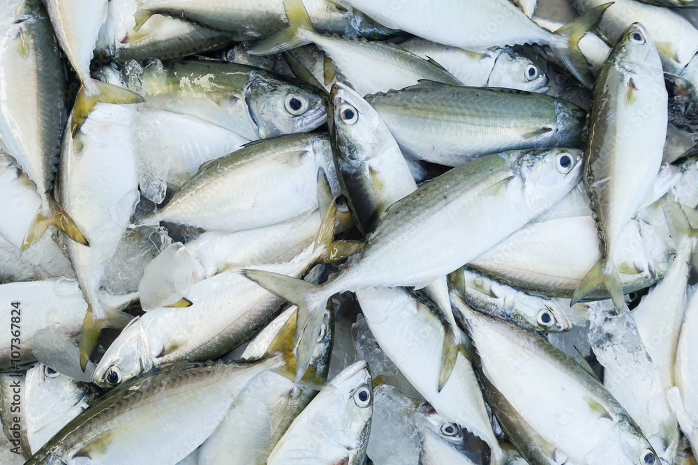 Obraz premium fish for sell at market