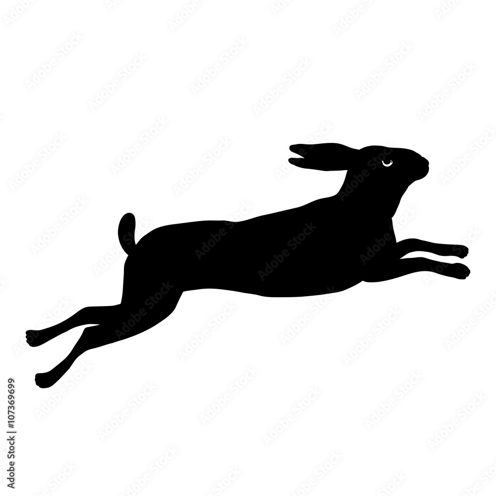 Fototapeta premium hare running black silhouette vector illustration isolated