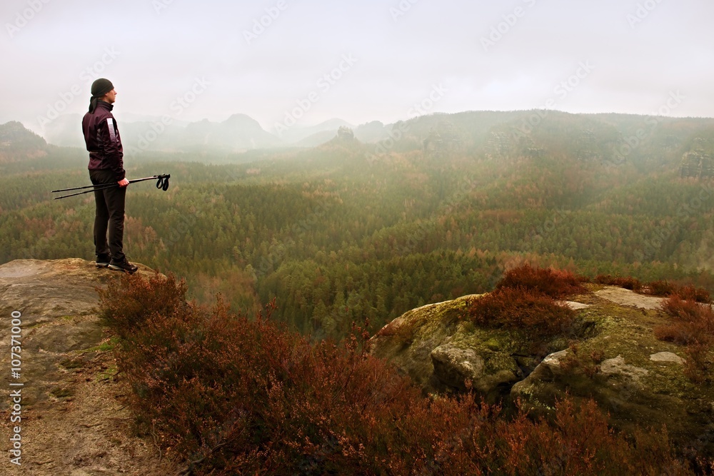 Man hiker in dark sportswear and poles stand on mountain peak rock. Red heather bushes