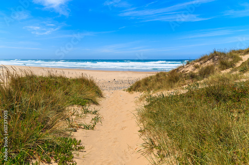 Path in grass to sandy Castelejo beach  Algarve region  Portugal