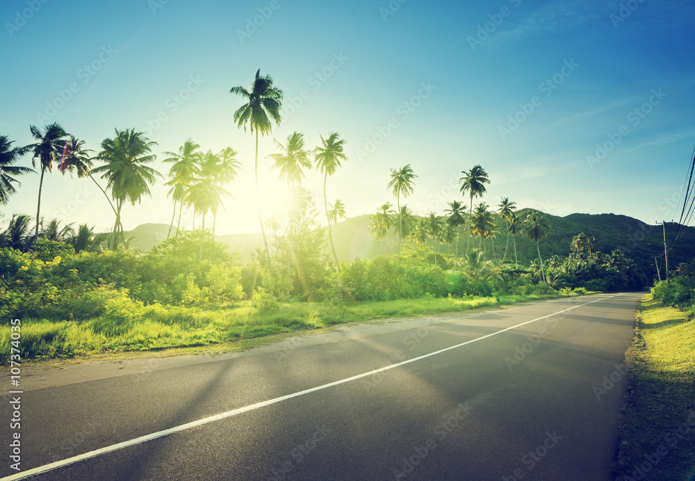 Obraz premium empty road in jungle of Seychelles islands