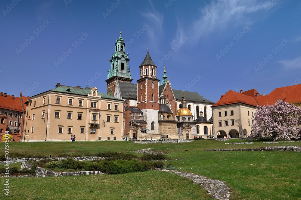 A view of a Wawel castle in spring day -  Krakow
