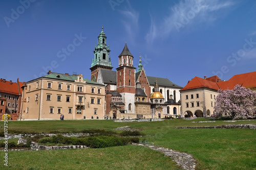 A view of a Wawel castle in spring day - Krakow