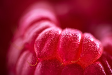 Papier peint photo Photographie macro Framboise rouge détail macro  © bojsha