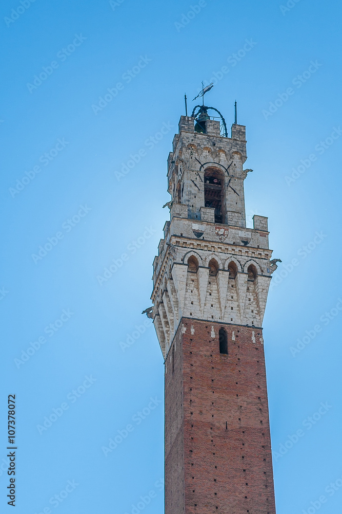 Obraz premium Torre del Mangia, Siena, Toscana, Italia