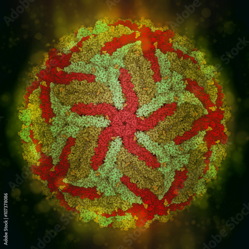 Zika virus. Atomic level structure, determined by cryo-EM.  photo