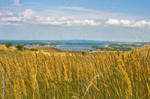 Landscape with dry yellow grass fields near Danube river in Serbia