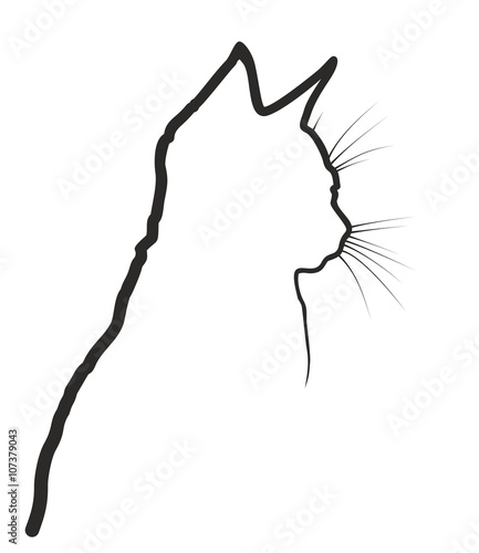 Fototapeta Naklejka Na Ścianę i Meble -  Sketch of cat. 