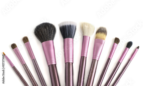 Professional Makeup Brush fan isolated on white background