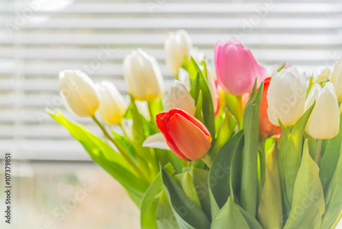 Fototapeta Naklejka Na Ścianę i Meble -  Colorful tulip flower bouquet in vase against window blind