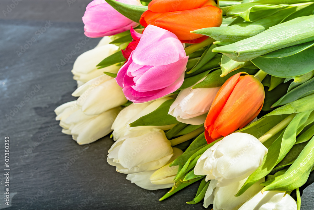 Obraz premium Anniversary white pink red tulip flower bouquet on grey background