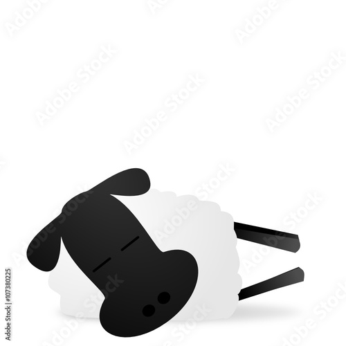 Schaf das schläft