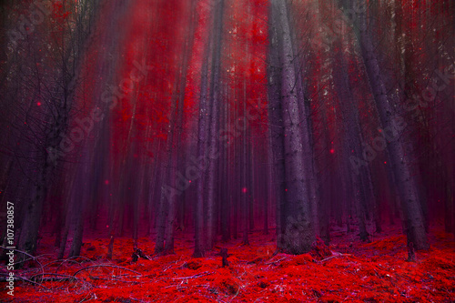 Red magic forest with lights