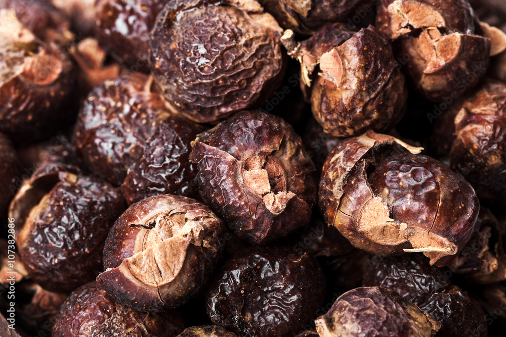 Fototapeta premium the background of soap nuts. Natural, organic