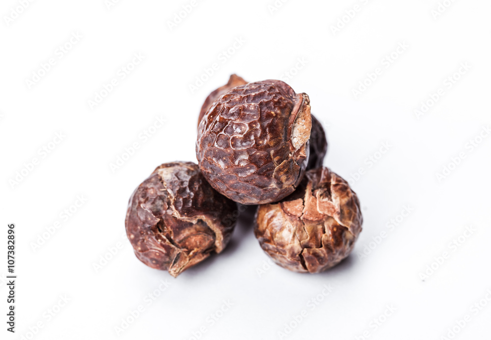 Soap nut tree isolated on white background. natural, organic Soap nut tree isolated on white background. natural, organic