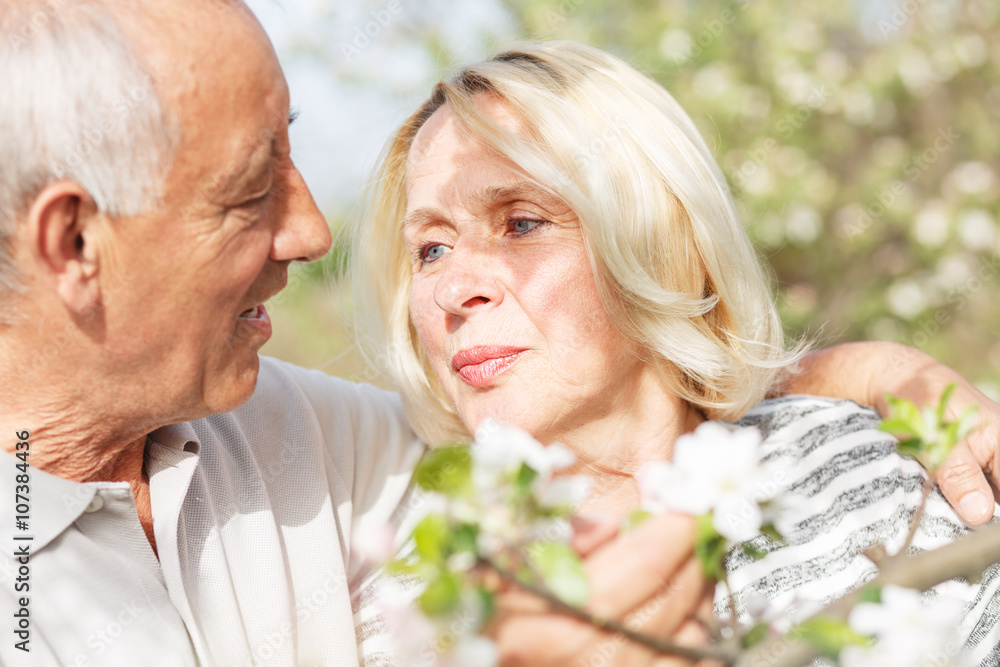 Senior couple enjoying a moment in their blossoming garden. Senior couple enjoying a moment in their blossoming garden.