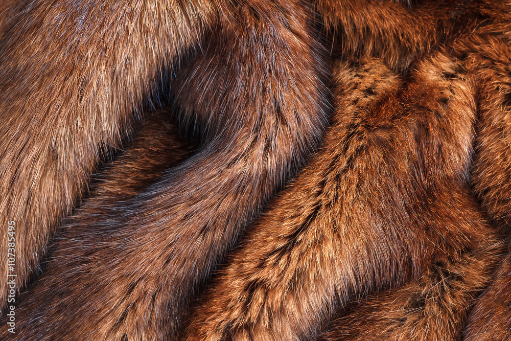 natural fur closeup natural fur closeup