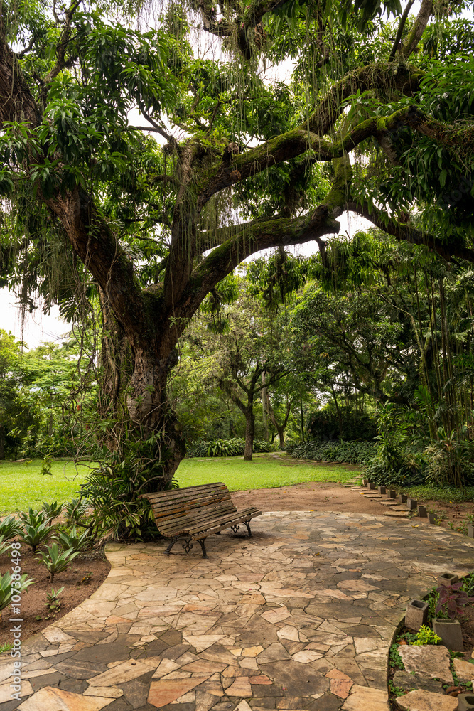 Parque Lage - Rio de Janeiro