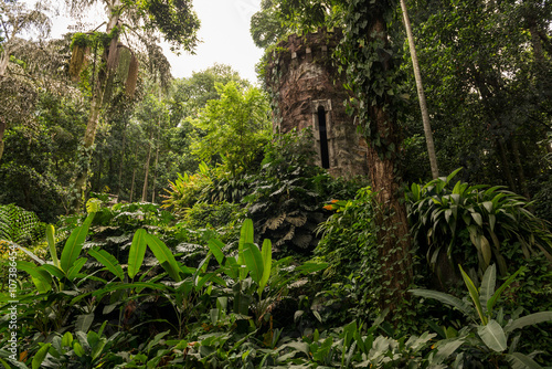 Rio de Janeiro - Botanical Garden