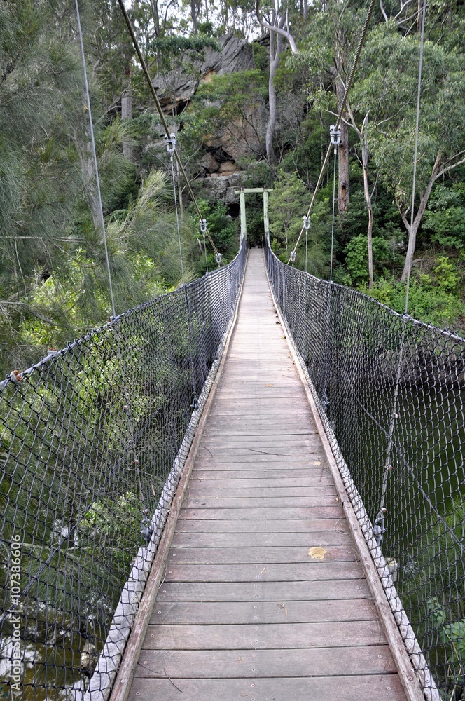 footbridge along hinking path Bens Walk in the escarpment near Nowra, New South Wales, Australia 