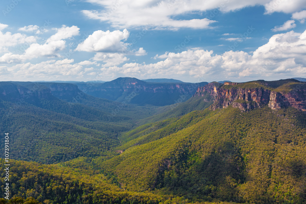 Beautiful valley covered in eucalyptus forest in Blue Mountains, viewed from Evans lookout. 