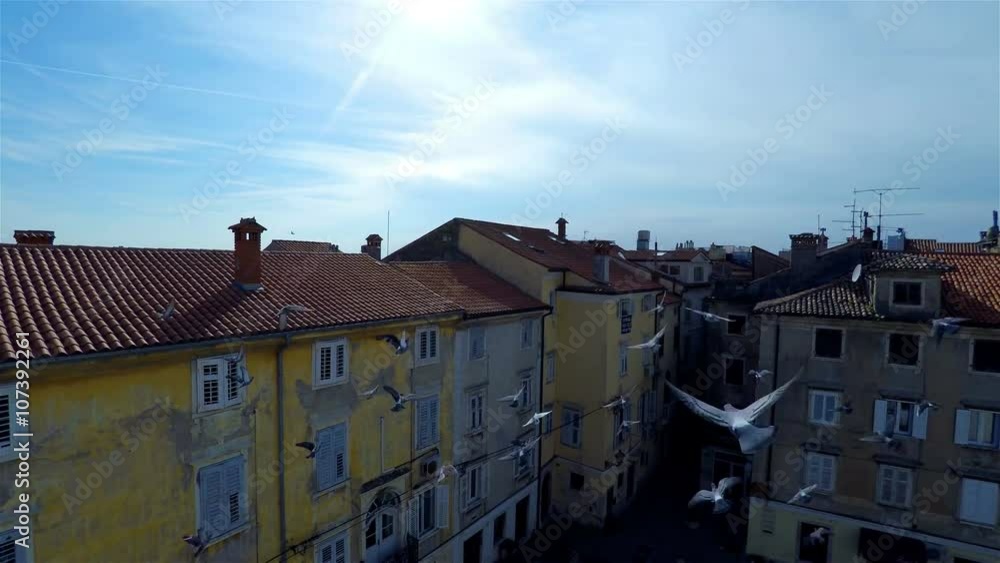 Flying over square with birds flying through camera Flying over square with birds flying through camera