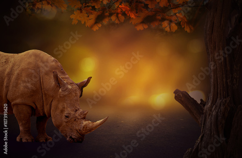Rhino versus tree dreamy dark background in woods