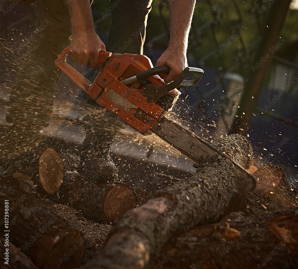 A man cutting tree with chainsaw.