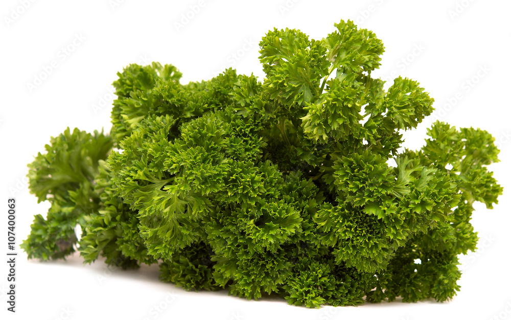 Fototapeta premium parsley