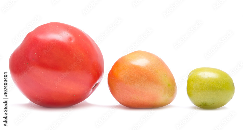 Tomatoes Tomatoes