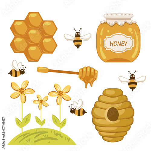 Honey set with bee, honeycomb, hive, honey, drip and flower. Beekeeping products.