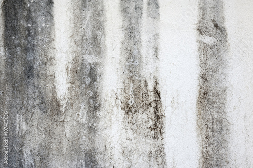 cement texture background