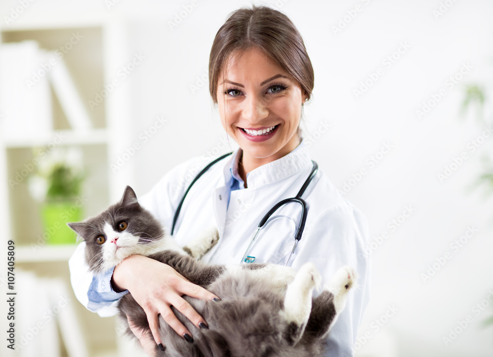 Portrait of smiling veterinarian with persian cat Portrait of smiling veterinarian with persian cat