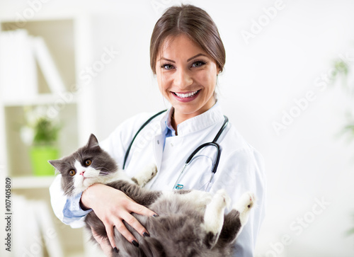 Fotografi Portrait of smiling veterinarian with persian cat