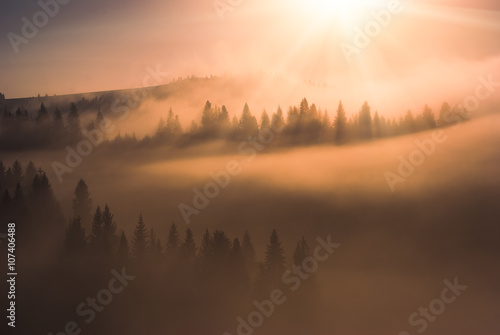 Fototapeta Naklejka Na Ścianę i Meble -  The gold light of sunrise