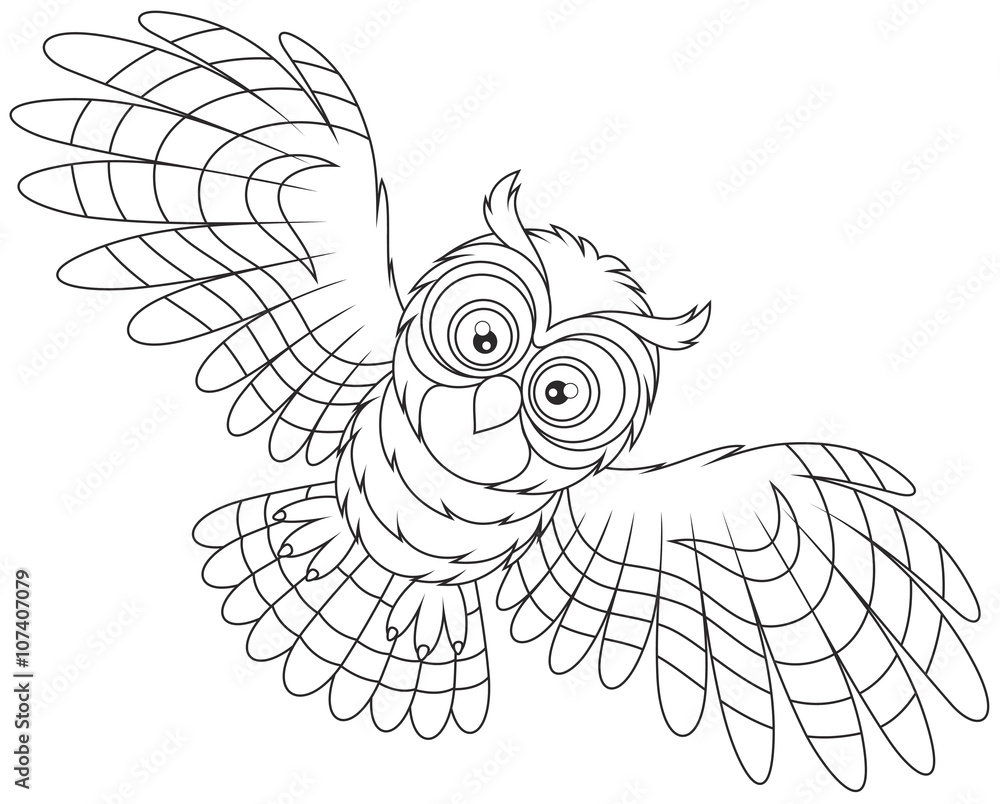 Naklejka premium Night owl flying