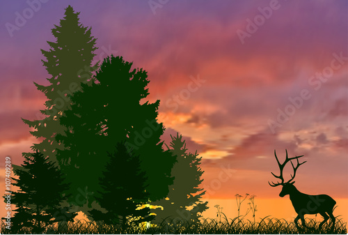 Fototapeta Naklejka Na Ścianę i Meble -  dark deer running to forest on sunset background
