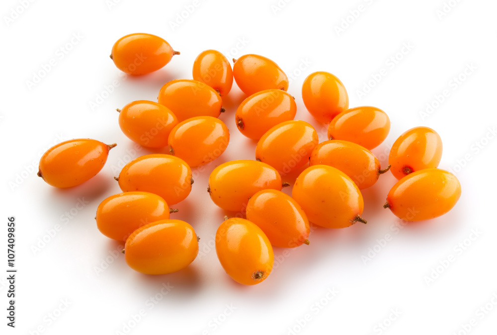 Sea buckthorn isolated on the white. Sea buckthorn isolated on the white.