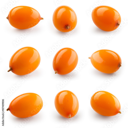 Sea buckthorn isolated on the white. With clipping path. Collect